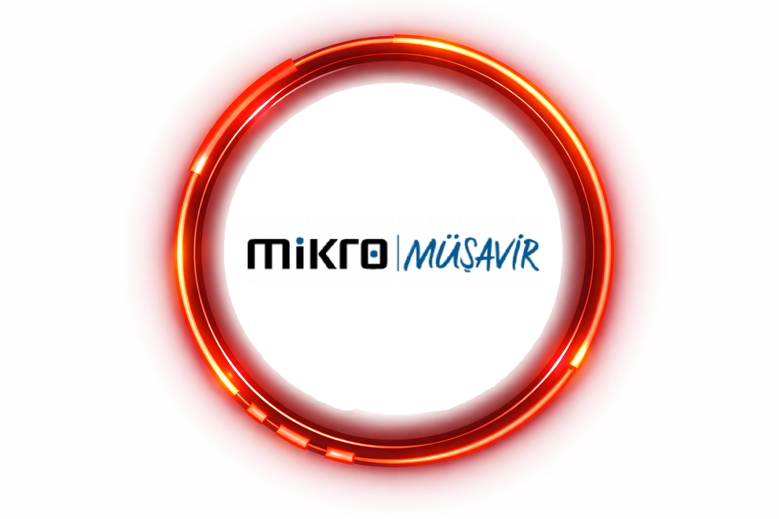 Mikro Müşavir